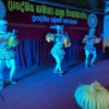 "Homagama Regional Literary Arts Festival - 2022"